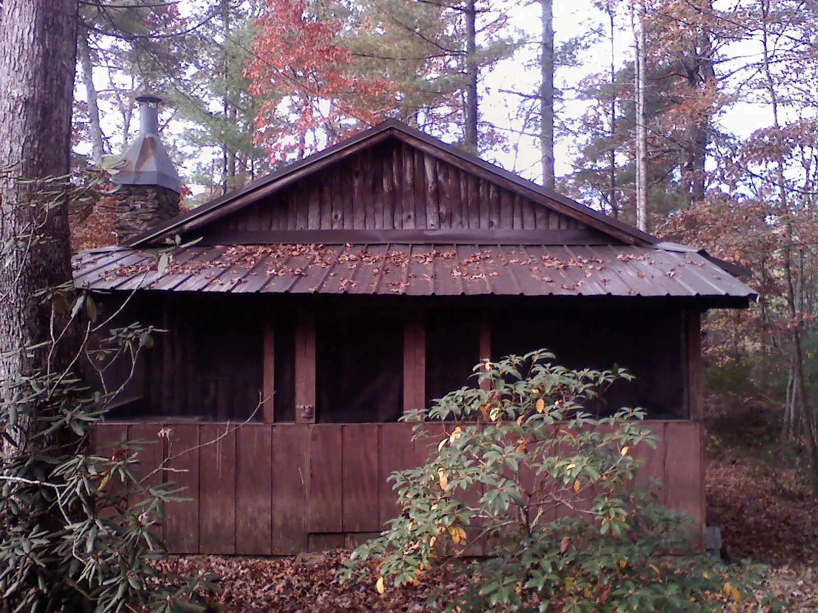 Metal roof over the screened porch of a rustic cabin in Haddonfield